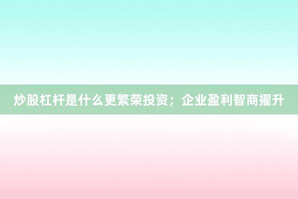 炒股杠杆是什么更繁荣投资；企业盈利智商擢升